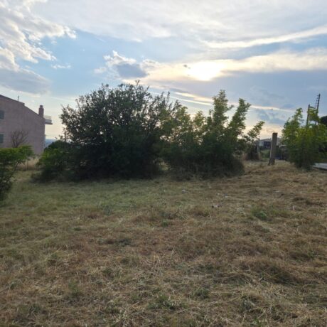 Plot cleaning near a residential property