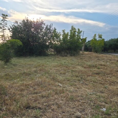 Grass cutting and plot maintenance service